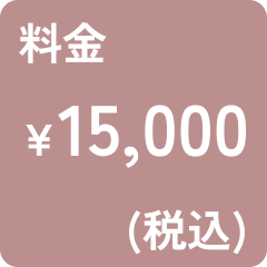 料金15,000円（税込）