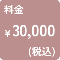 料金30,000円（税込）