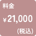 料金21,000円（税込）